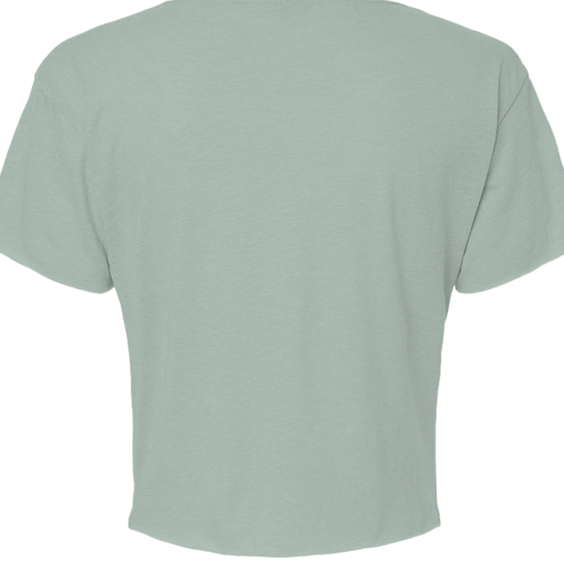 STONEWASH GREEN - N5080 - BACK